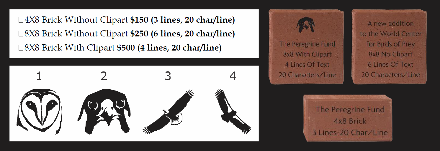 Options for buying a brick to support HATCHED