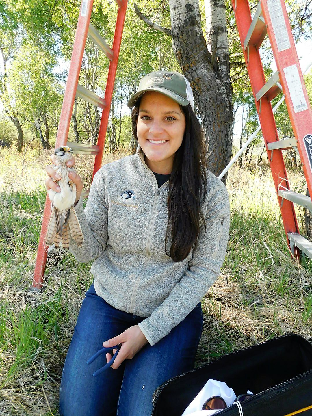 Dr. Sarah Schulwitz holds an American Kestrel