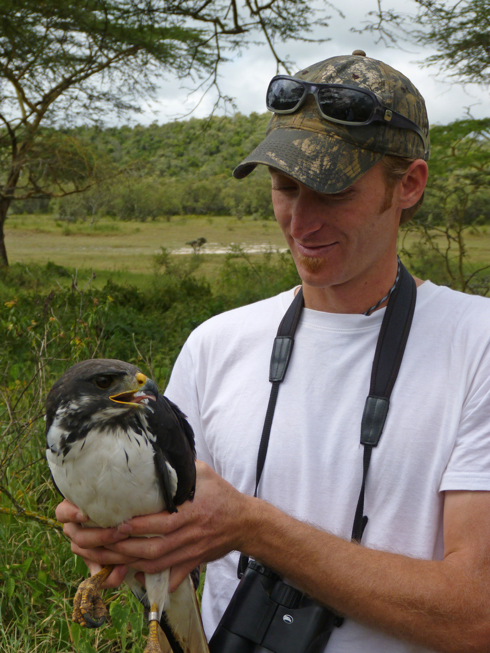 Dr. Evan Buechley holds an Augur Buzzard