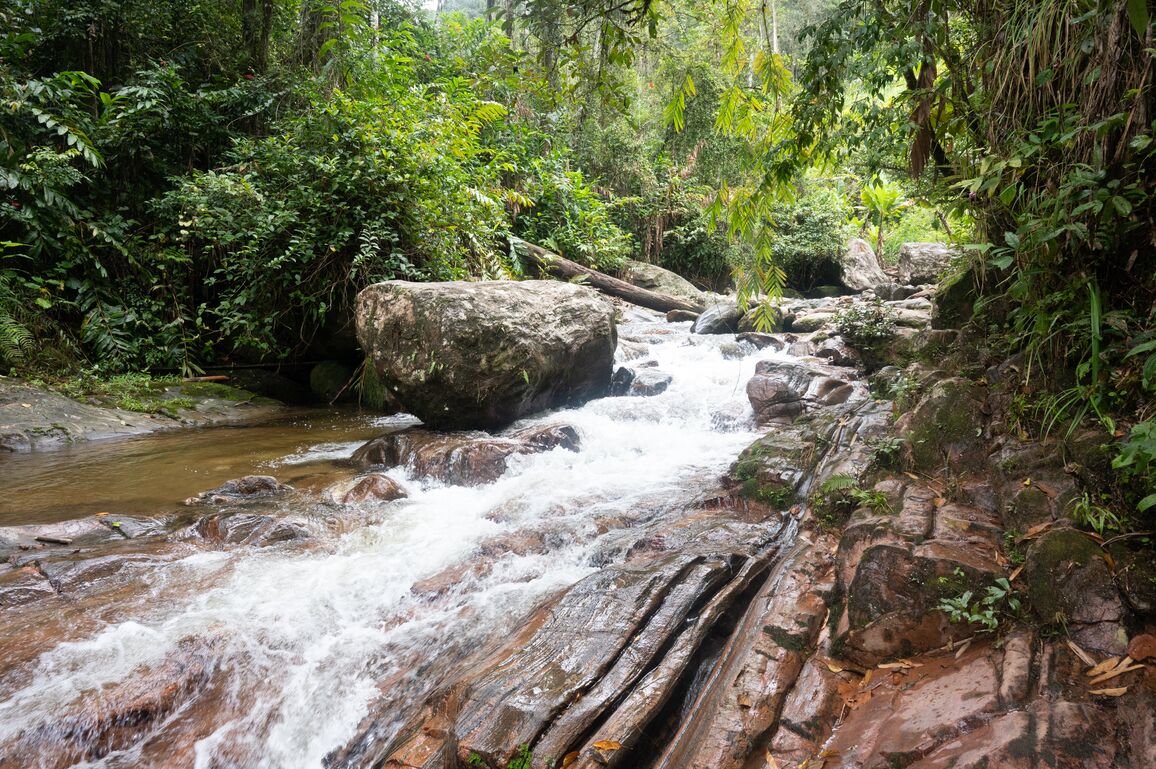 Rocky river with green trees on the sides.