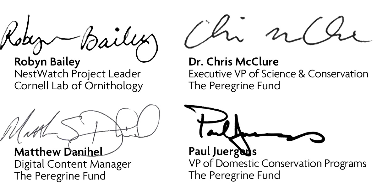 Titles and signatures of the stakeholders of the AKP-NestWatch transition