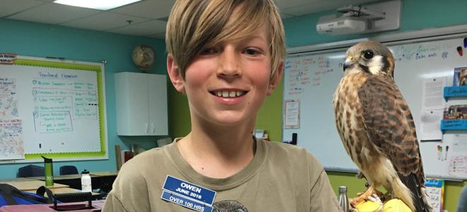 young volunteer holding American Kestrel in a classroom