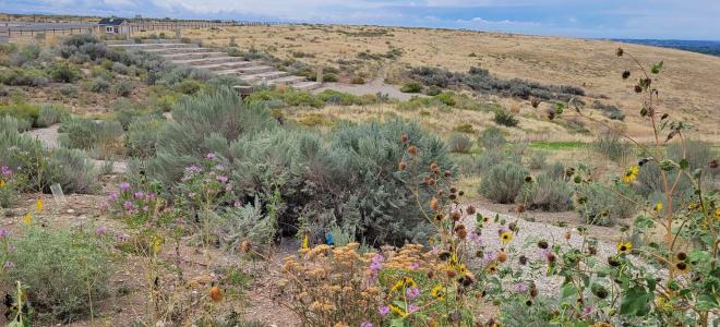 September at Badger Flats