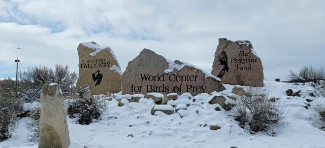 Stone signs reading &quot;Archives of Falconry,&quot; &quot;World Center for Birds of Prey,&quot; and &quot;The Peregrine Fund&quot; in a snow-covered landscape