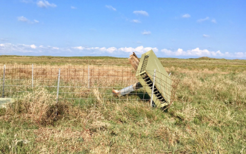 Nesting Structure on ground