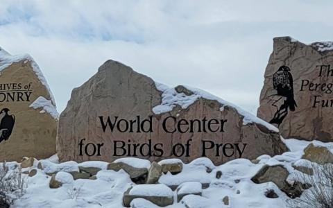 The Archives of Falconry, World Center for Birds of Prey, The Peregrine Fund signs in the snow