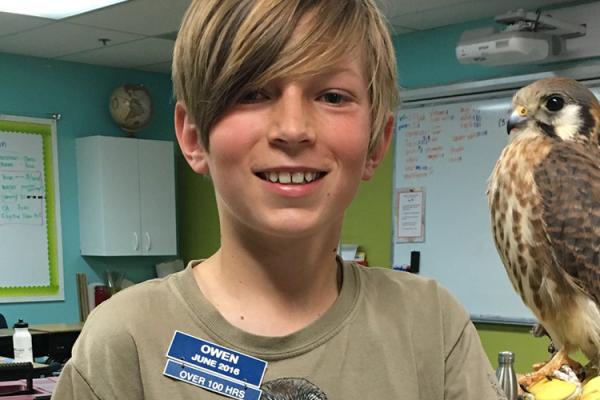 young volunteer holding American Kestrel in a classroom