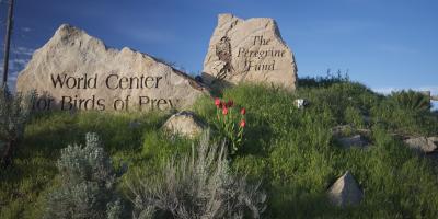 The Entrance to the World Center for Birds of Prey