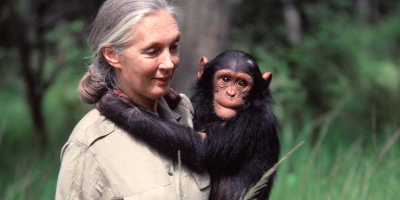 Jane Goodall